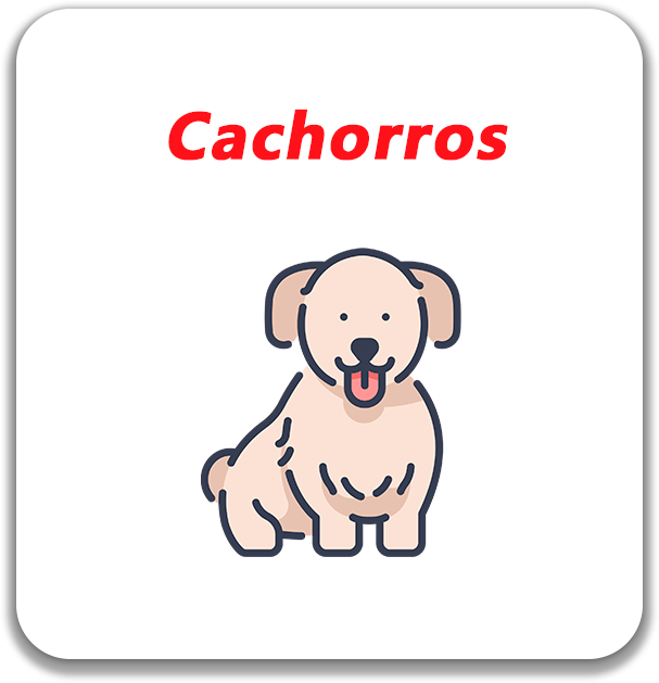 Cachorros