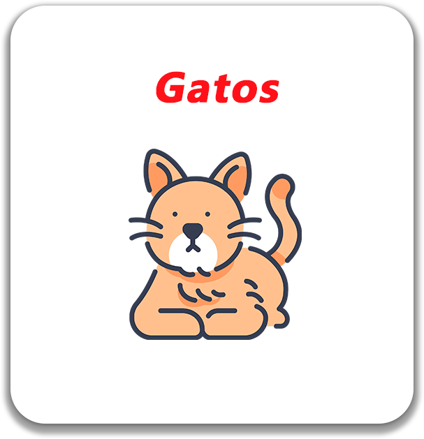 Gatos