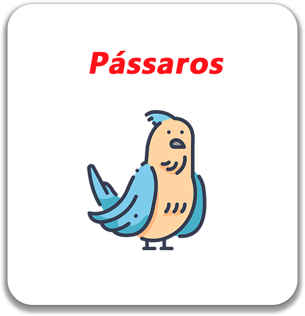 Pássaros